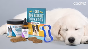 Sleeping puppy with CBD dog treats, cookbook, peanut butter, hemp oil, and bone cookie cutter.