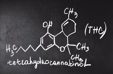 Delta-9 THC molecule chemical structure drawn in white chalk on a blackboard