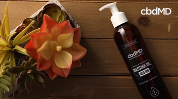 Unscented CBD massage oil bottle with succulents on wooden surface