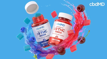 Two bottles of Delta 9 THC gummies with fruit and gummy pieces on a blue background.