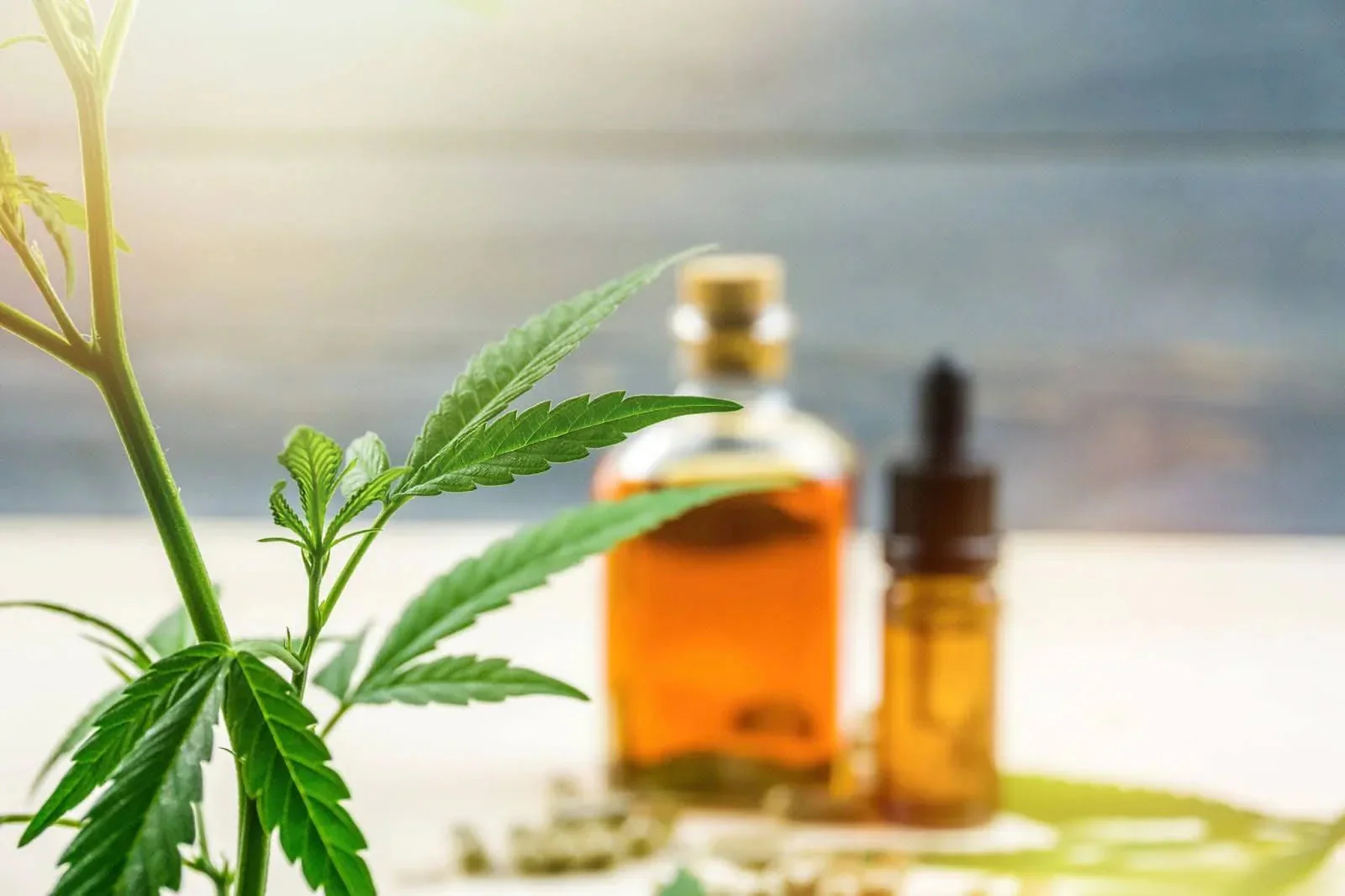 CBD oil bottles and dropper with cannabis plant leaves in sunlight