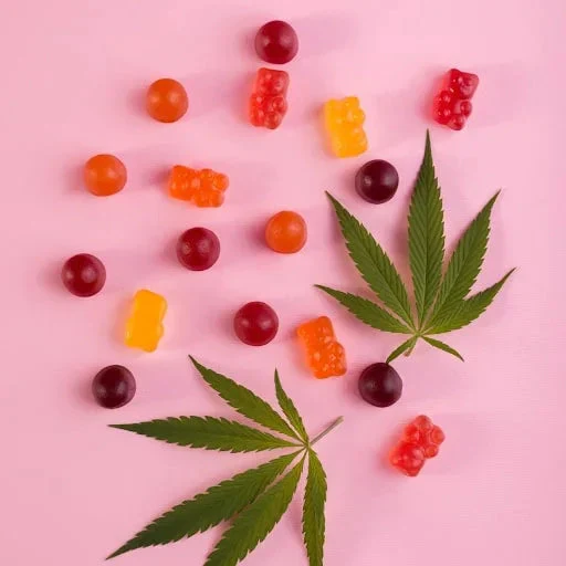 assorted fruit gummies and round candies with hemp leaves on pink background
