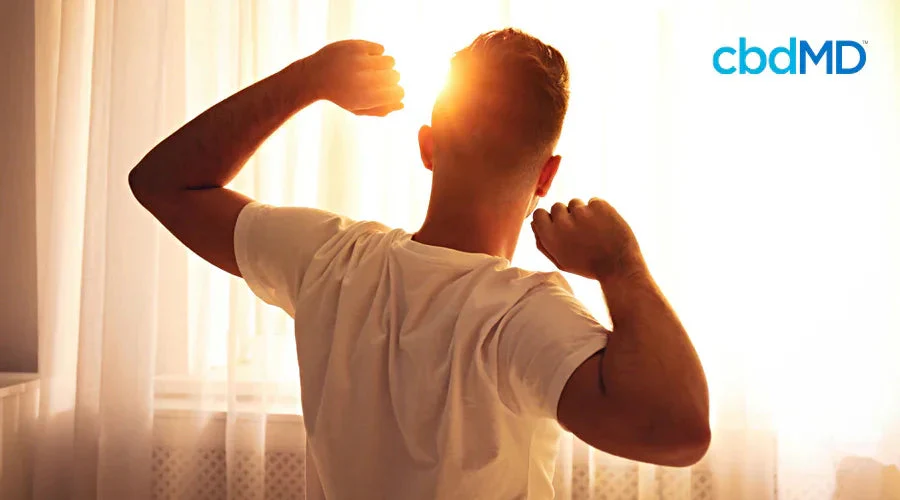 Man stretching in sunlight by window, morning wellness routine, healthy lifestyle