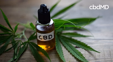 CBD oil dropper bottle with hemp leaves on a wooden surface, focus on lab-tested CBD product