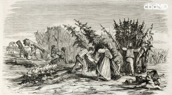 Vintage illustration of workers harvesting hemp plants by a riverside in 1860