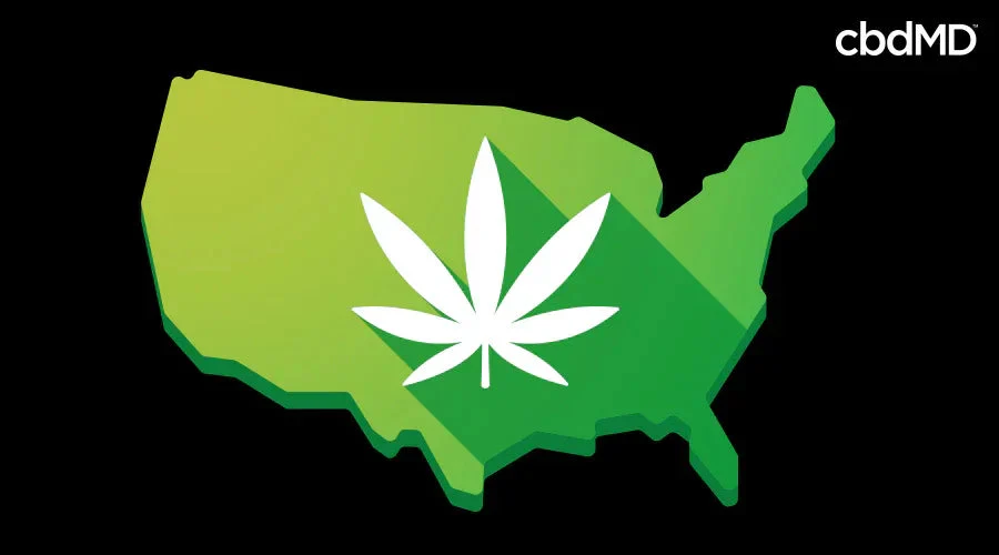 Green USA map icon with a cannabis leaf graphic symbolizing hemp legality