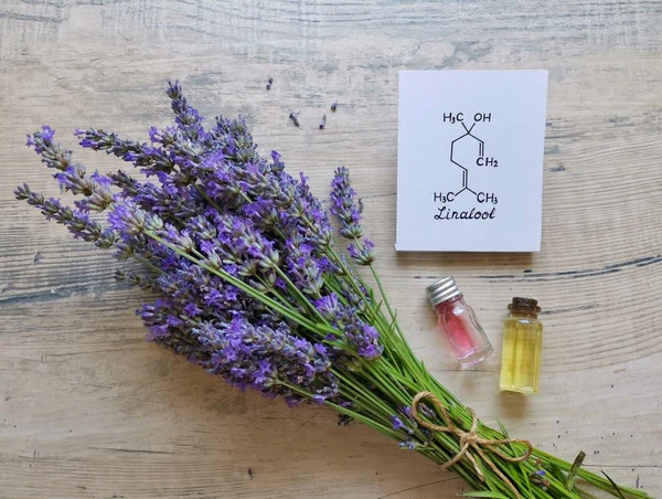 Fresh lavender bouquet with linalool chemical formula and essential oil bottles on wood table
