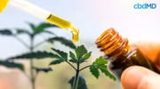 Dropper dispensing CBD oil tincture into amber bottle near hemp plant