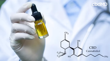 Scientist holding CBD oil dropper bottle with cannabidiol molecule diagram in lab setting
