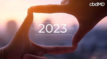 Hands framing sunrise skyline with 2023 text, symbolizing new year goals and future planning