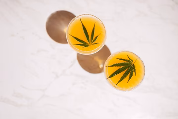 Two yellow CBD-infused drinks with hemp leaves on top, displayed on a marble surface