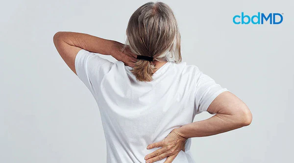 Older woman holding neck and lower back, showing discomfort or pain relief at home