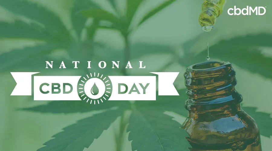 Dropper bottle with CBD oil and hemp leaf, National CBD Day banner, health product