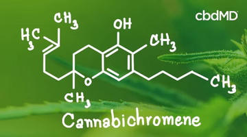 Cannabichromene CBC molecule structure on green cannabis leaf background