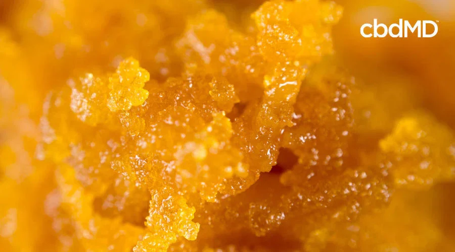 Close-up of golden CBD isolate crystals with granular texture, cbdMD logo in corner