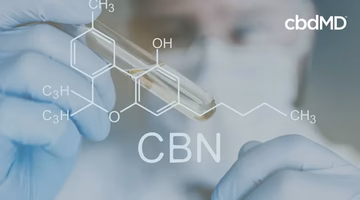 Gloved scientist holding test tube with CBN molecule diagram and chemical formula overlay