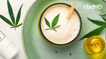CBD-infused cream in a bowl with hemp leaf, oil dropper, and tube, on a green plate